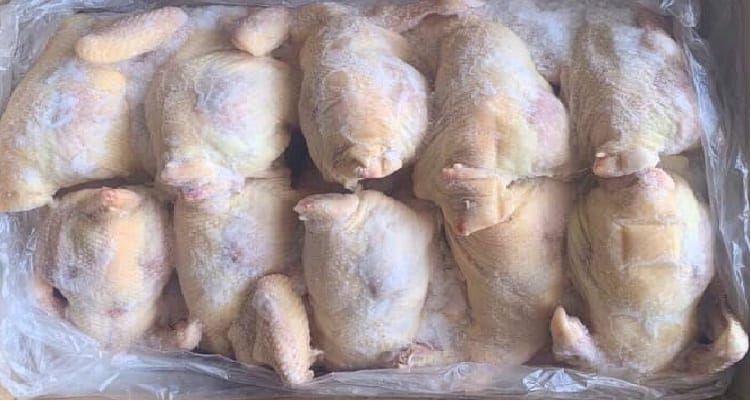 Introduction to Frozen Chicken Storage and Safety