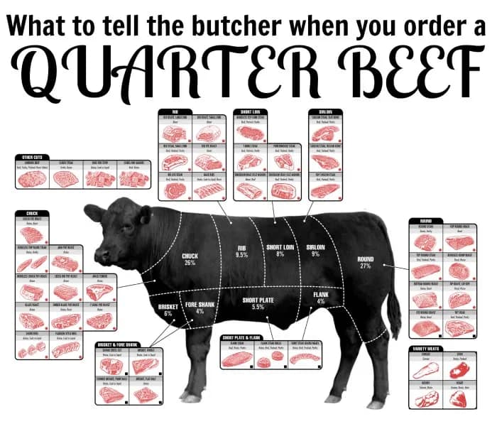 What Factors Affect The Cost Of Quarter Cow