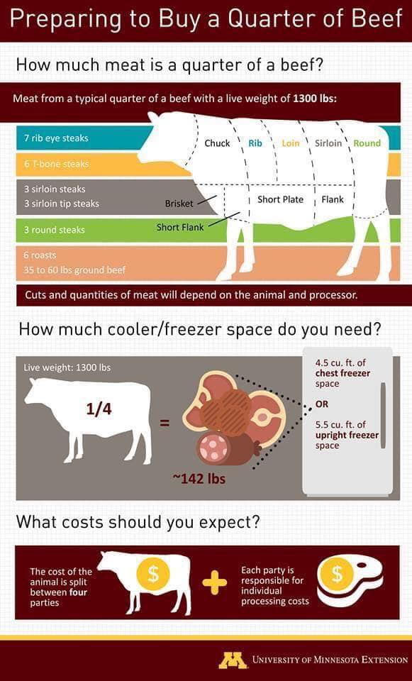 What Is The Shelf Life Of Cow Meat