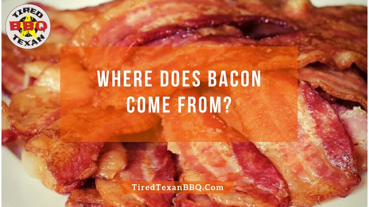 Where Does Bacon Come From