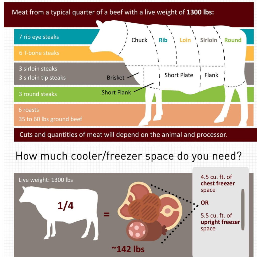 The Cost of a Full Cattle How Much Is A Whole Cow?