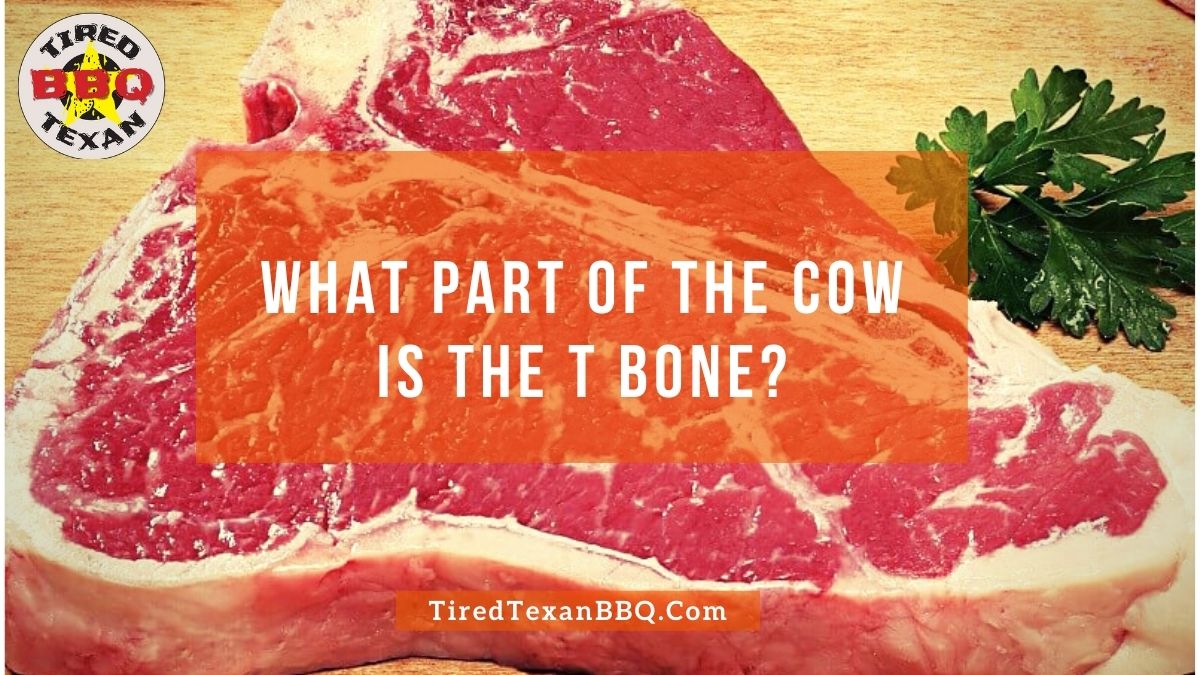 What Part of the Cow is the T Bone