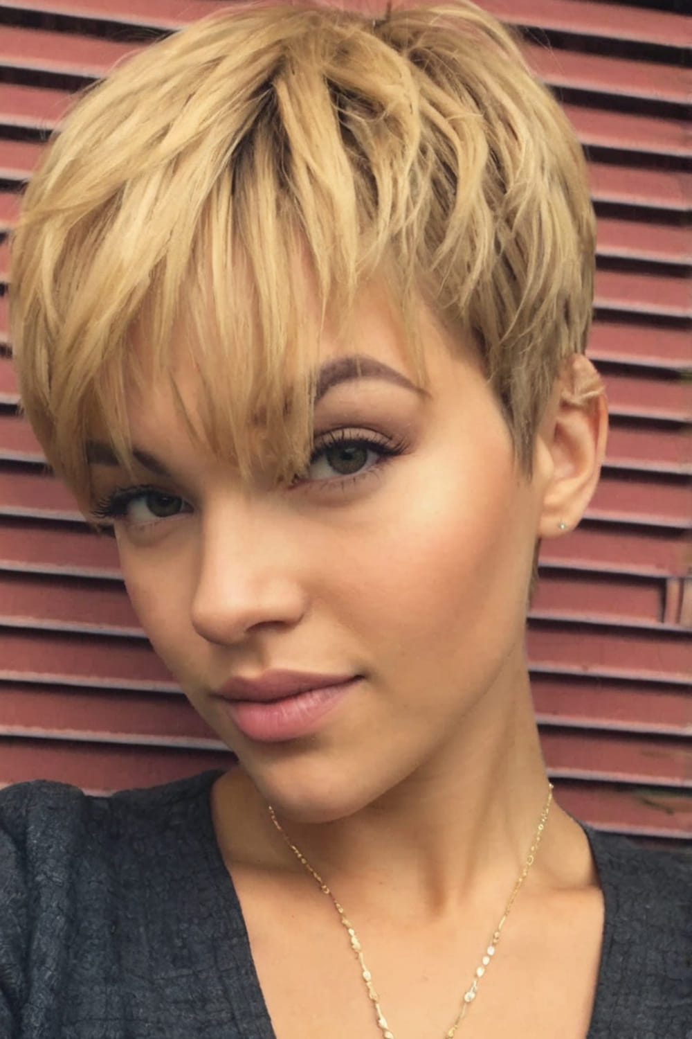 Honey Blonde Pixie Bob