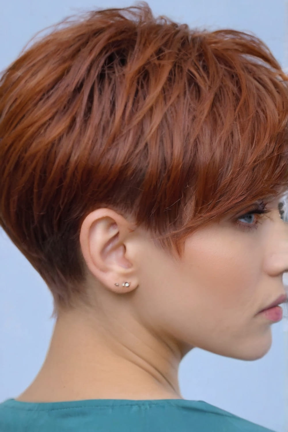 Dark Copper Pixie Bob with Layers