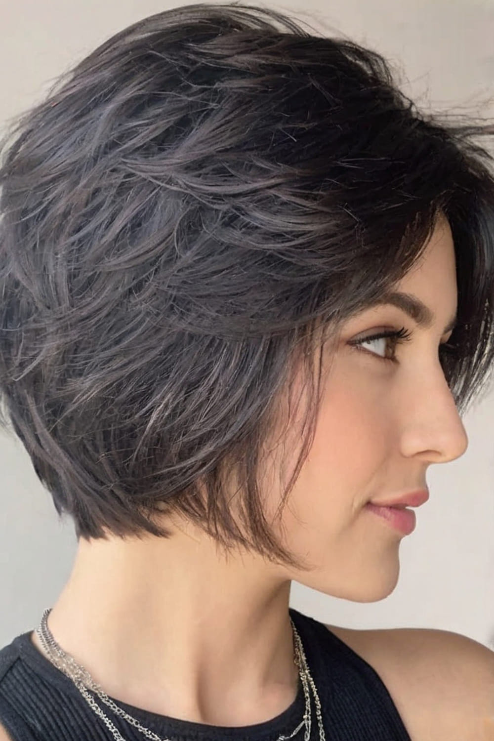 Very Dark Pixie Bob with Visible Layers