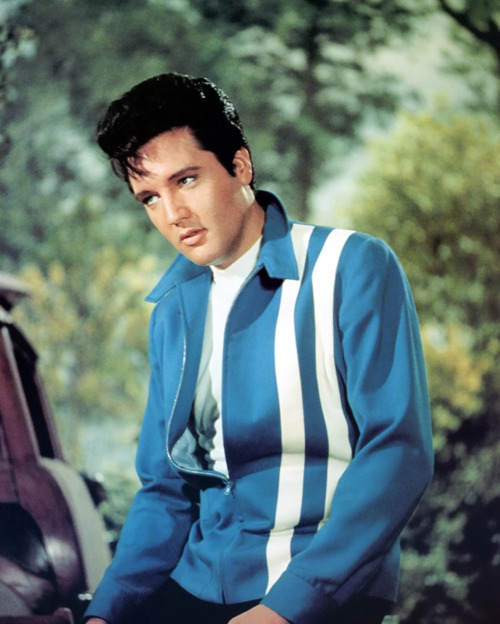 Elvis Presley – Baby, What You Want Me To Do