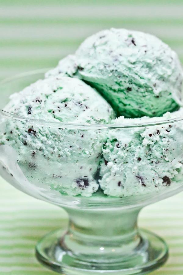 Mint Chocolate Chip Ice Cream