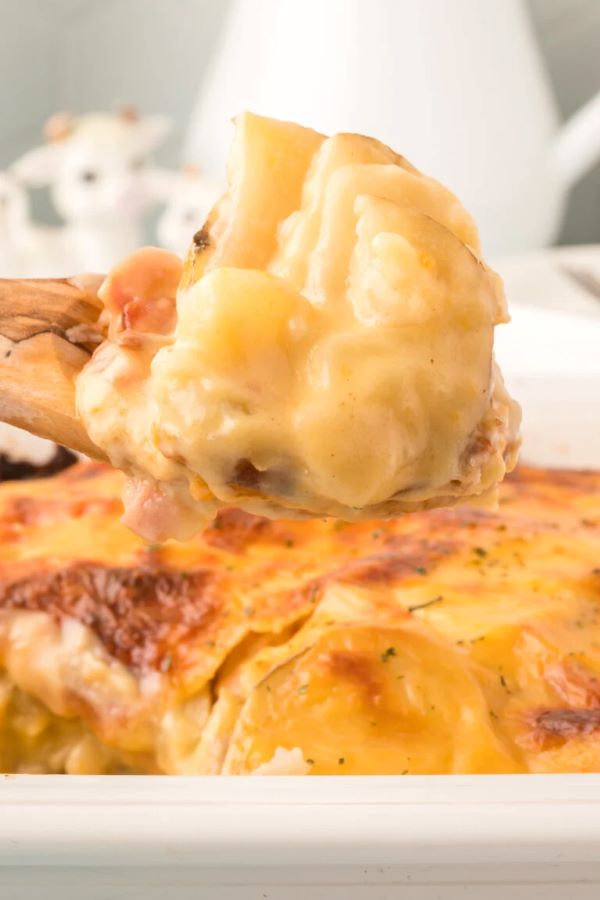 Cheesy Scalloped Potatoes & Ham