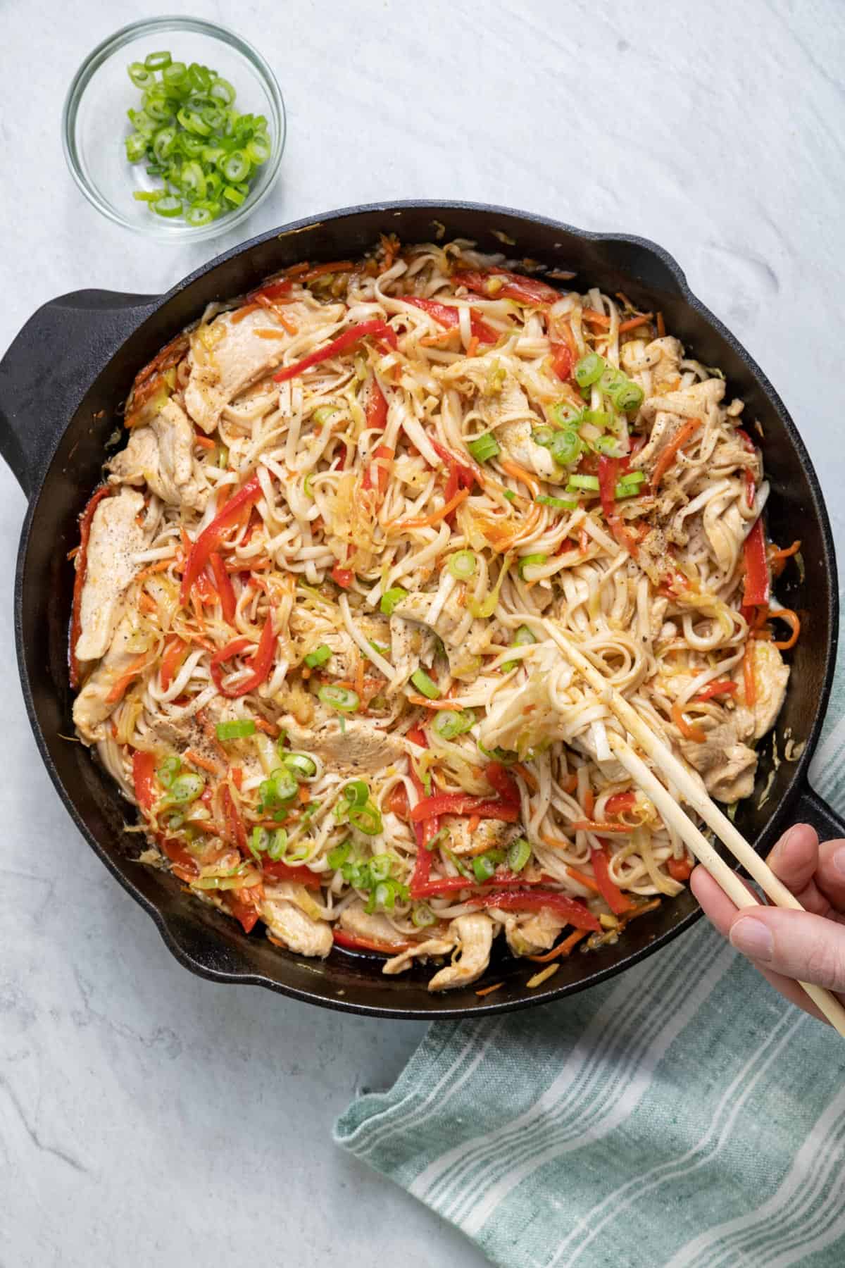 Chicken Lo Mein Recipe (1)