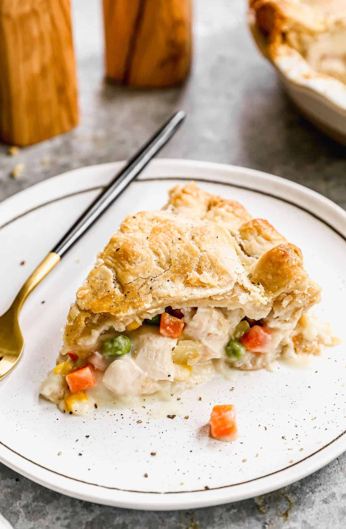 Chicken Pot Pie Recipe (5)