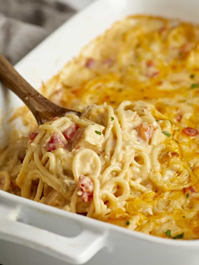 Chicken Spaghetti Recipe (4)