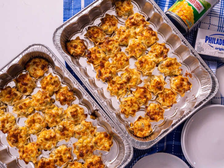 Iowa Party Bites (1)