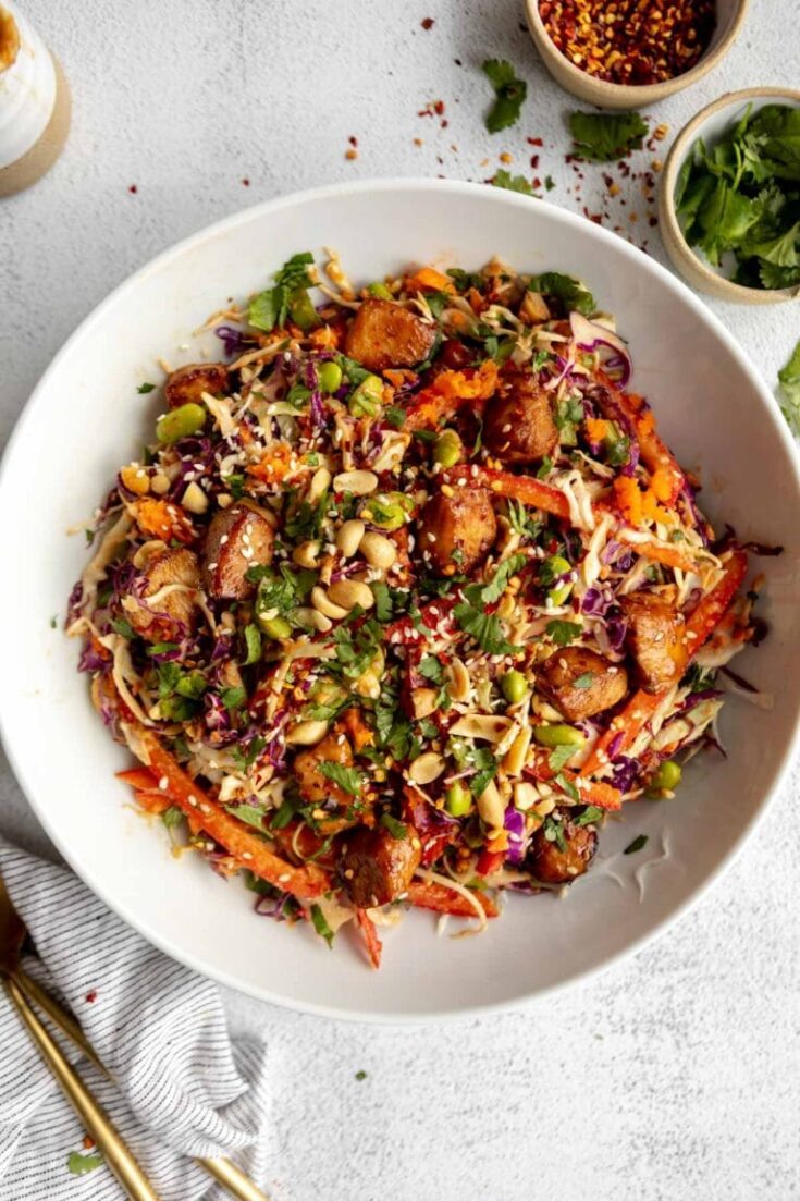 Asian Chicken Crunch Salad Recipes (1)