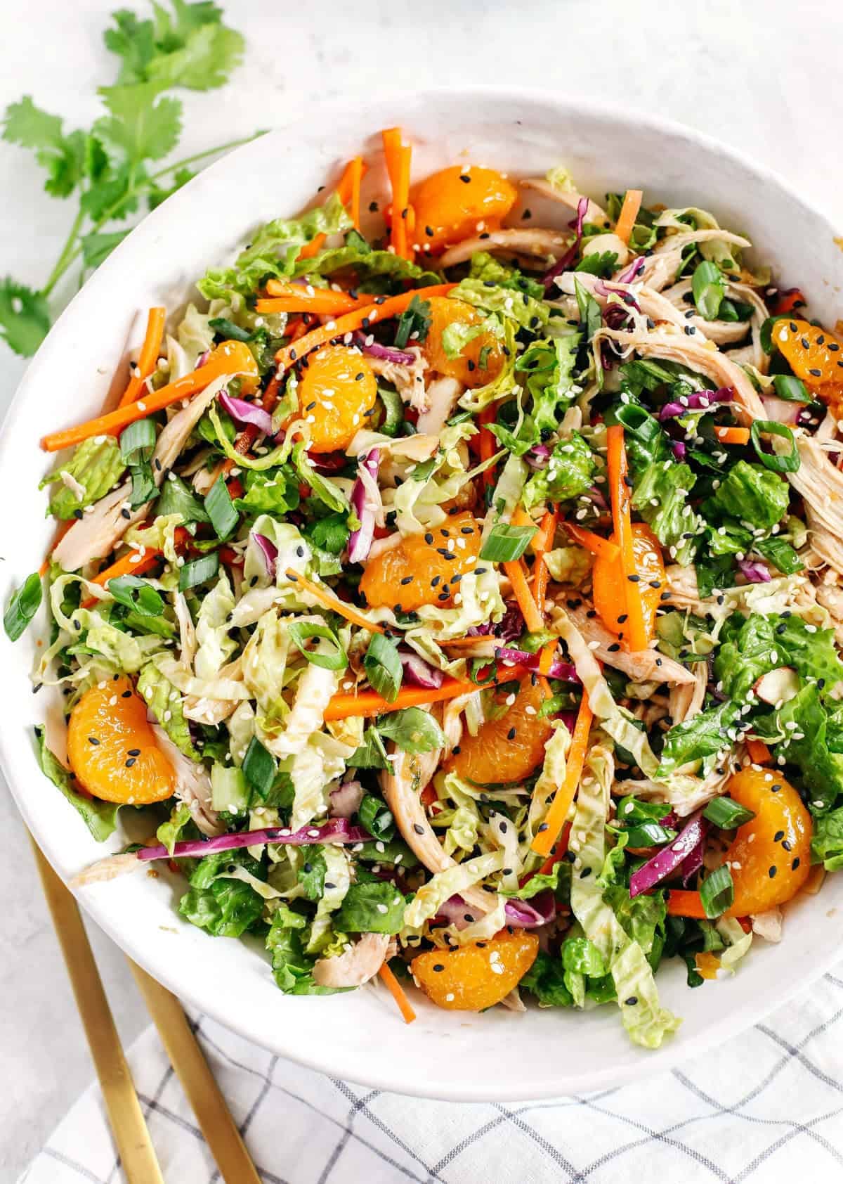 Asian Chicken Crunch Salad Recipes (3)