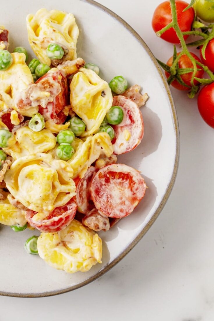 Bacon Ranch Tortellini salad Recipe (1)
