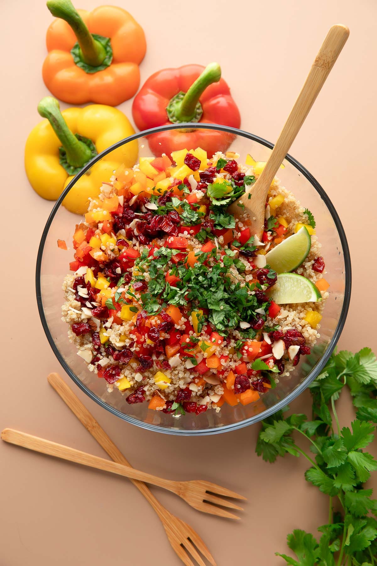 Cranberry and Cilantro Quinoa Salad