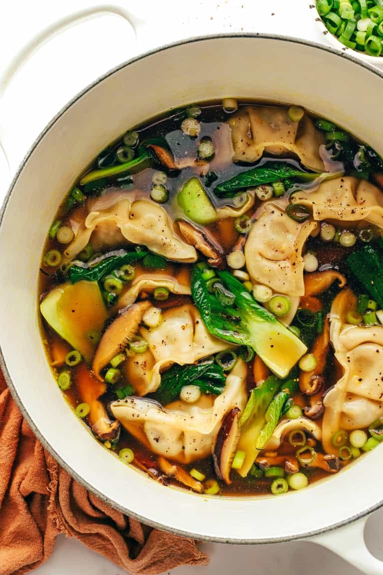 Potsticker Soup Recipe (2)