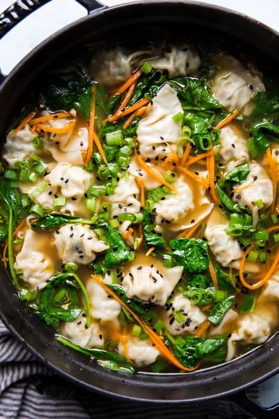 Potsticker Soup Recipe (3)