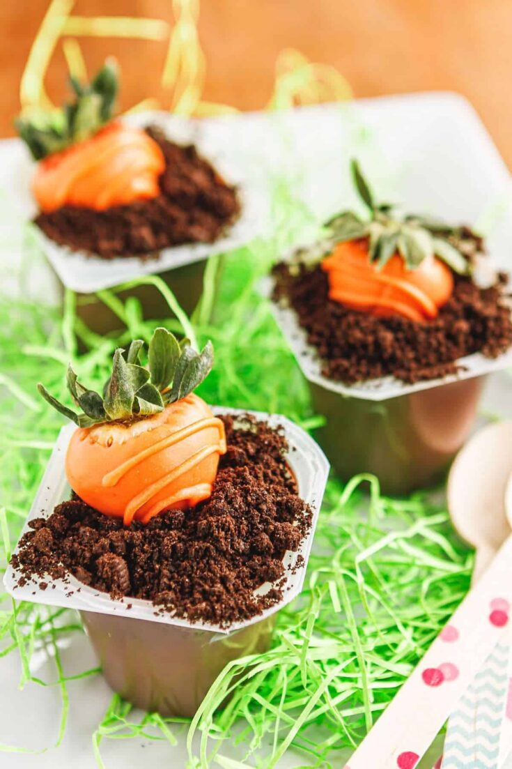 Carrot Patch Dirt Cups (1)