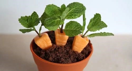 Carrot Patch Dirt Cups (2)