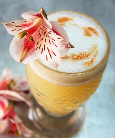 Pineapple Mezcal Sour Recipe (1)