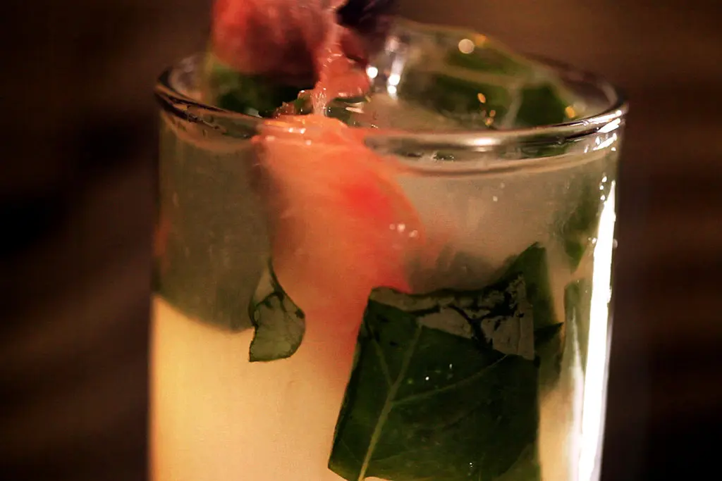The Upgraded Paloma