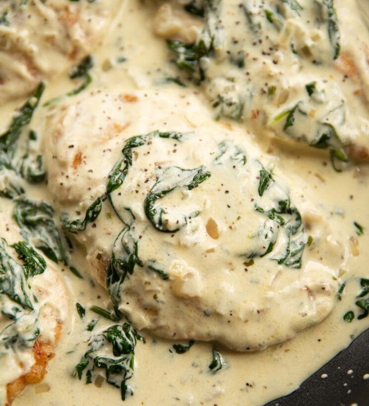 Boursin Chicken Recipe (2)