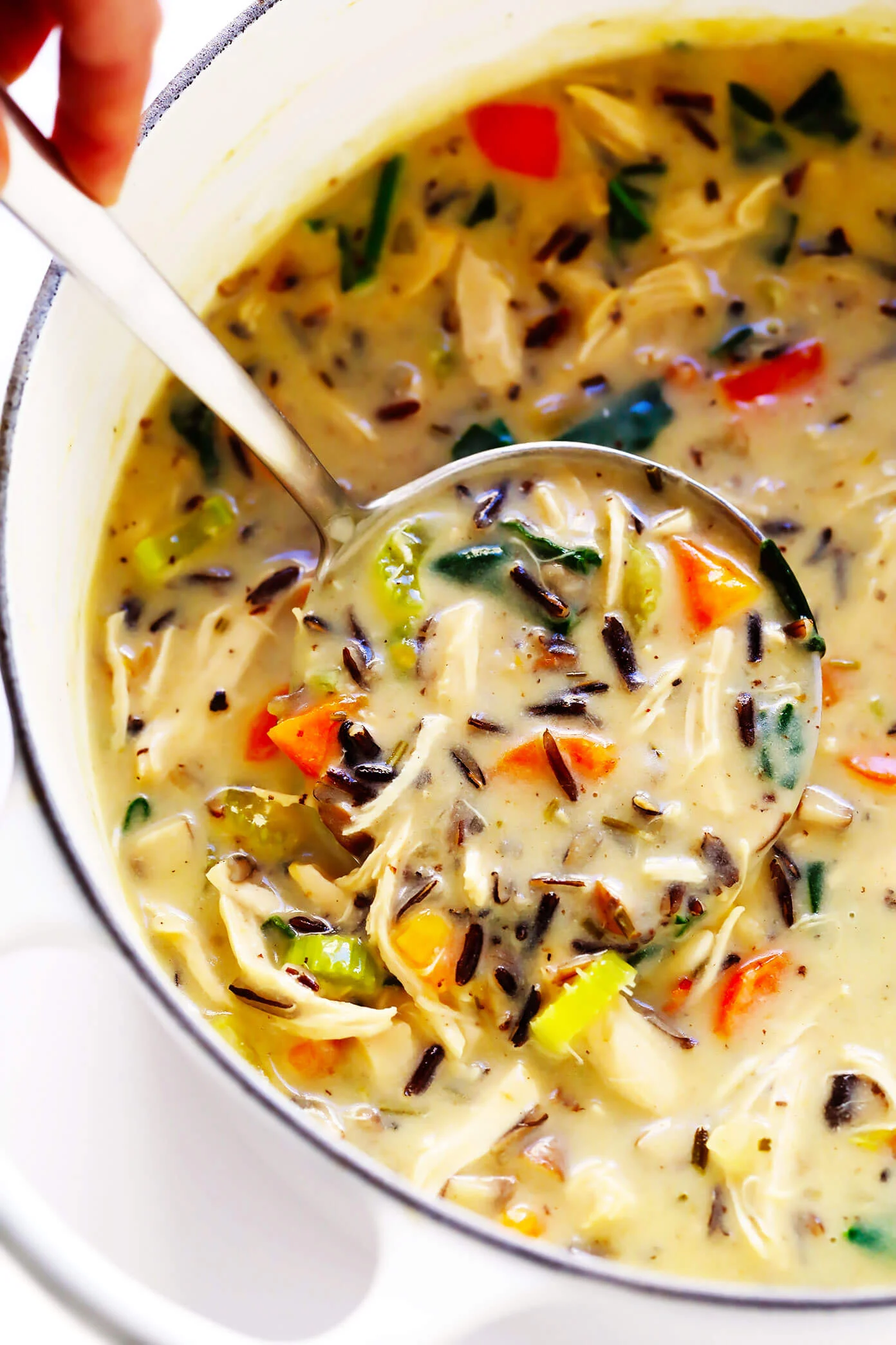 Chicken and Wild Rice Soup