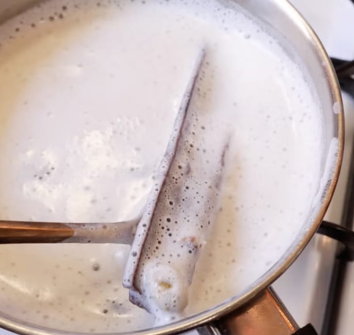 Cinnamon Spiced Hot Milk